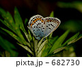 682730