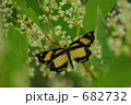 682732