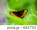 682733