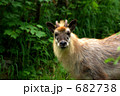 682738