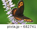 682741