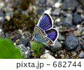 682744