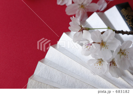 扇と桜 扇と桜