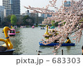 不忍池のボートと桜