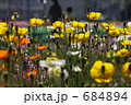 素材ナンバー 684894 : 「Poppy」