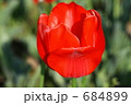 素材ナンバー 684899 : 「Red」