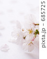 桜 花びら バックグラウンド