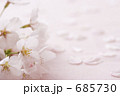 桜 ソメイヨシノ 花びら
