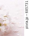 桜 ソメイヨシノ 花びら