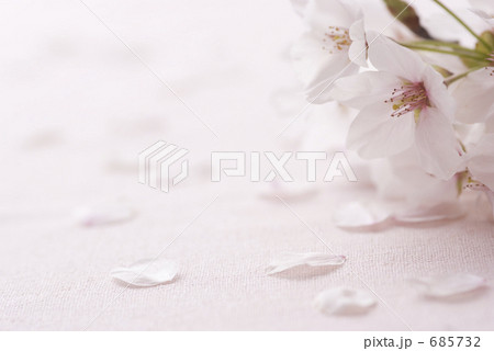 桜 花びら バックグラウンド