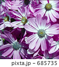 685735
