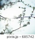 685742