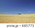 親子の木