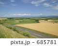 麦畑の中を走る道