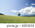 蕎麦の花と大地