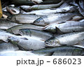 サケの水揚げ