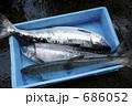 サケの水揚げ