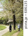 桜の中で散歩
