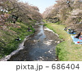 根川緑道の桜並木