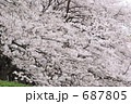 687805