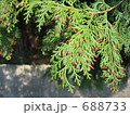 688733