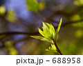 春の息吹2