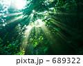 高原の朝日