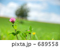 689558