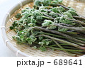蕨