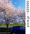 花見に出かけよう！！－その２