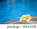 プルメリア