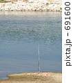 でっかい魚を釣り上げるぞー！！