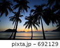 夕日