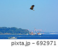 トビの舞う港