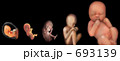 成長記録