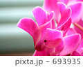 ピンクの花びら