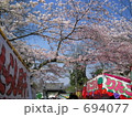 京都円山公園の桜と屋台