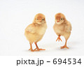 ひよこ