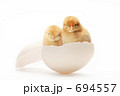双子のヒヨコ