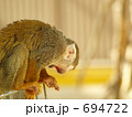 リスザル、なまあくび。