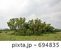 亜熱帯の木々／小浜／八重山／沖縄