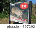 イリオモテヤマネコ注意