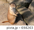 プレイリードッグの瞑想