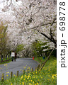 春の小道に咲く桜