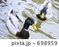 仲良しかもさん
