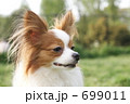パピヨン⑥