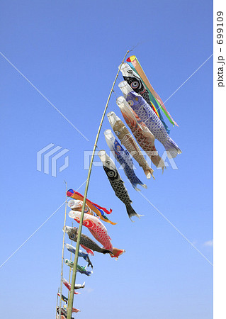 「鯉のぼり」の写真素材