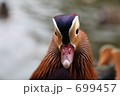 おしどり