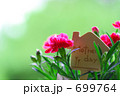 母の日のカーネーション