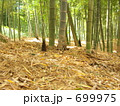 京都西山の竹薮